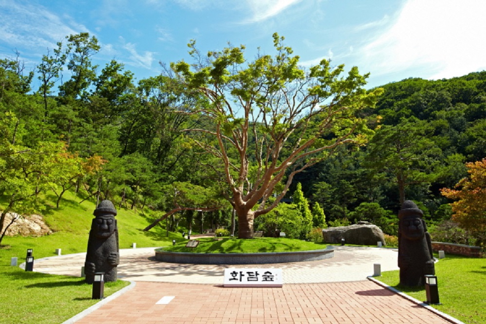 Hwadam Botanic Garden gyeonggi province